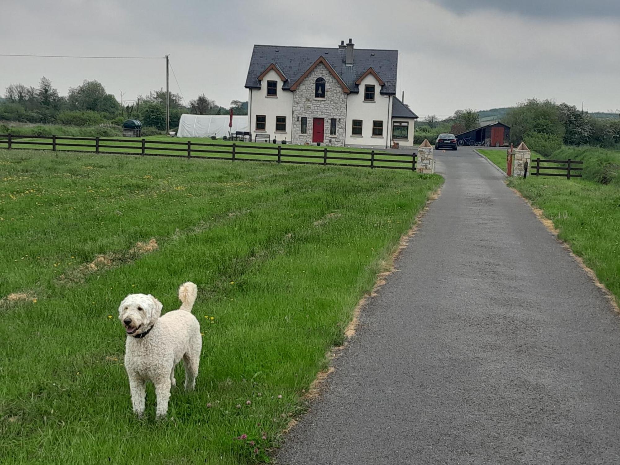 Nature'S Rest Carrick on Shannon Exterior foto